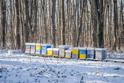 Obrázek Calendrier – février 25