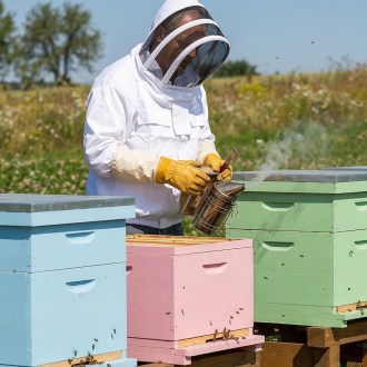 Blouson d'apiculteur cosmonaute avec voile taille: S - XXL