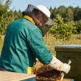 Blouson d'apiculteur, verte, taille - taille CZ: 52-60