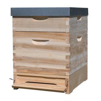 Ruche Dadant 1x(285) + 1x2/3(159) - 10 c. - zinc