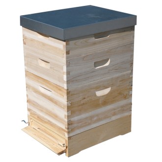 Ruche Dadant 1x(285) + 2x2/3(159) - 10 c. - zinc