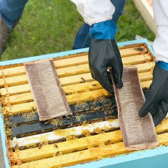 Acide formique Pro 68,2 g - 2 doses (4 bandelettes)