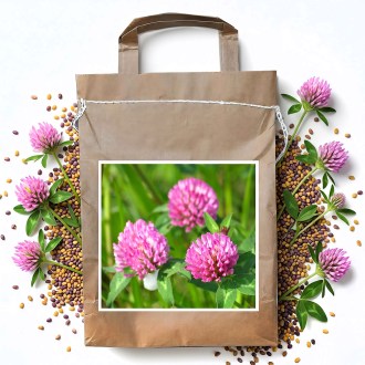 Trèfle des prés VENDELÍN - 1 kg