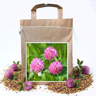 Trèfle des prés VENDELÍN - 1 kg