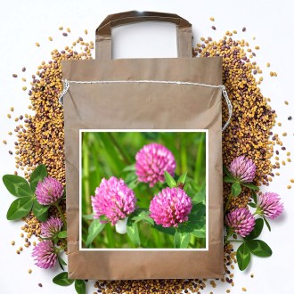 Trèfle des prés VENDELÍN - 1 kg