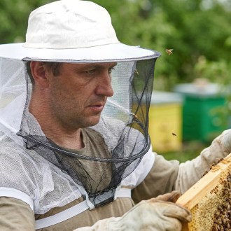 Chapeau d'apiculteur avec protection pour les mains