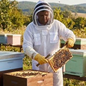 Combinaison professionnelle d'apiculture avec voile tailles: S-XXL