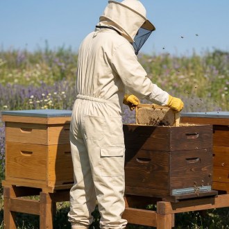 Combinaison d'apiculteur OPTIMA Lysoň, taille : S-XXXXL