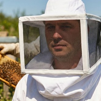 Voile de protection apicole - USA