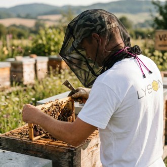 Voile de protection pour la tête