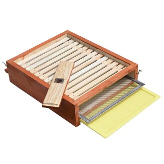 Fond de ruche entièrement grillagé anti-varroa - Langstroth - complet, peint
