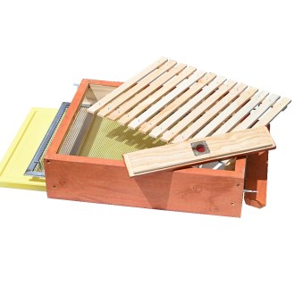 Fond de ruche entièrement grillagé anti-varroa - Langstroth - complet, peint