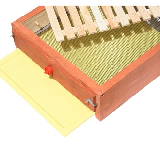 Fond de ruche entièrement grillagé anti-varroa - Langstroth - complet, peint