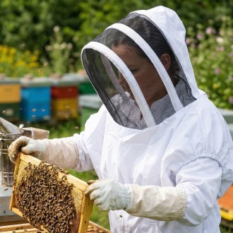 Voile de protection Mellarius en toile de coton