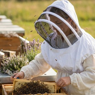 Voile de protection Mellarius en toile de coton