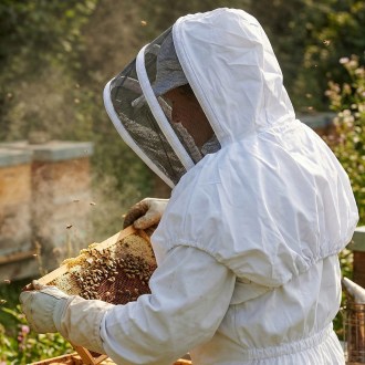 Voile de protection Mellarius en toile de coton