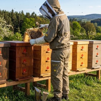 Vareuse d'apiculteur avec ventilation partielle Elegant Bee taille : S-XXXXL