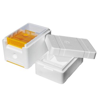 Ruchette de fécondation avec nourrisseur - pour 1 reine