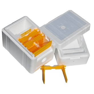 Ruchette de fécondation avec nourrisseur - pour 1 reine