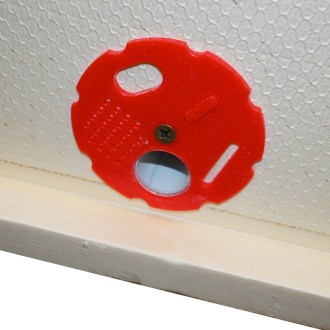 Ruchette polystyrène 39x24 - 5 cadres