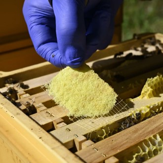 Bandelettes THYMOVAR 2 x 5 pièces