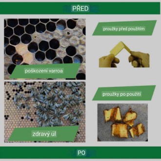 Bandelettes THYMOVAR 2 x 5 pièces