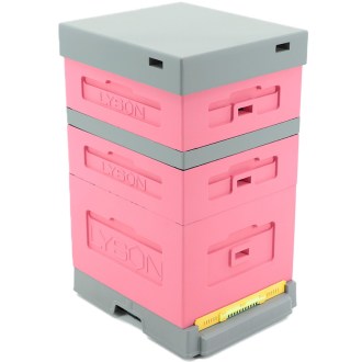 Ruche Dadant Blatt avec plancher anti-varroa - laquée (rose) 10 cadres