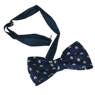 Papillon bleu ApiSina avec abeilles